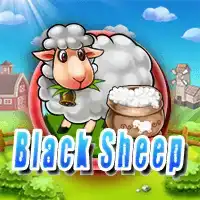 Black Sheep